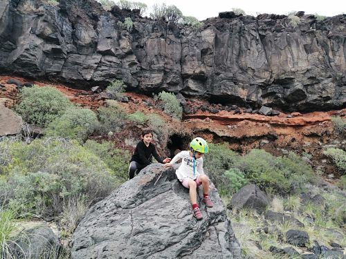 IMG_20210103_121631__opt tenerife