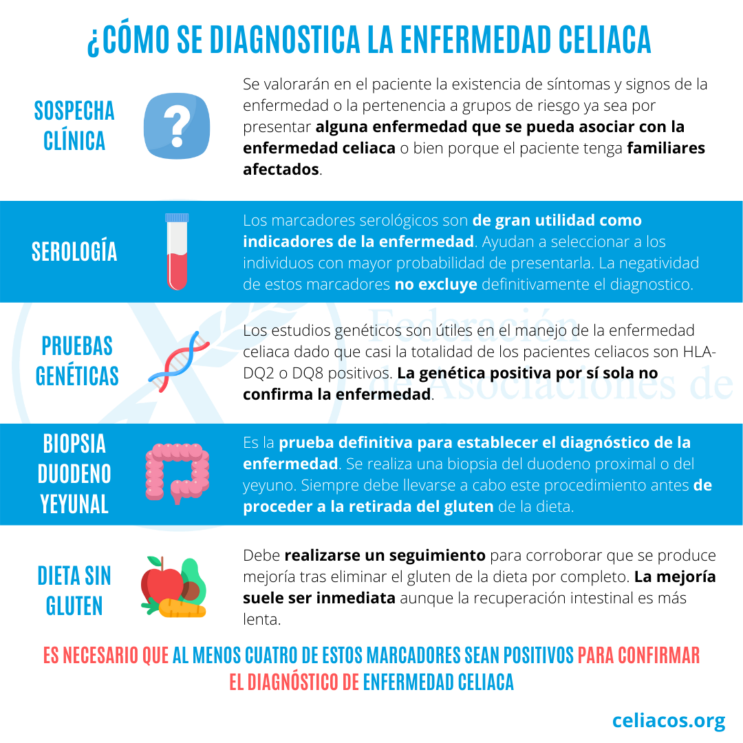 Cómo-se-diagnostica-la-enfermedad-celiaca SIN GLUTEN