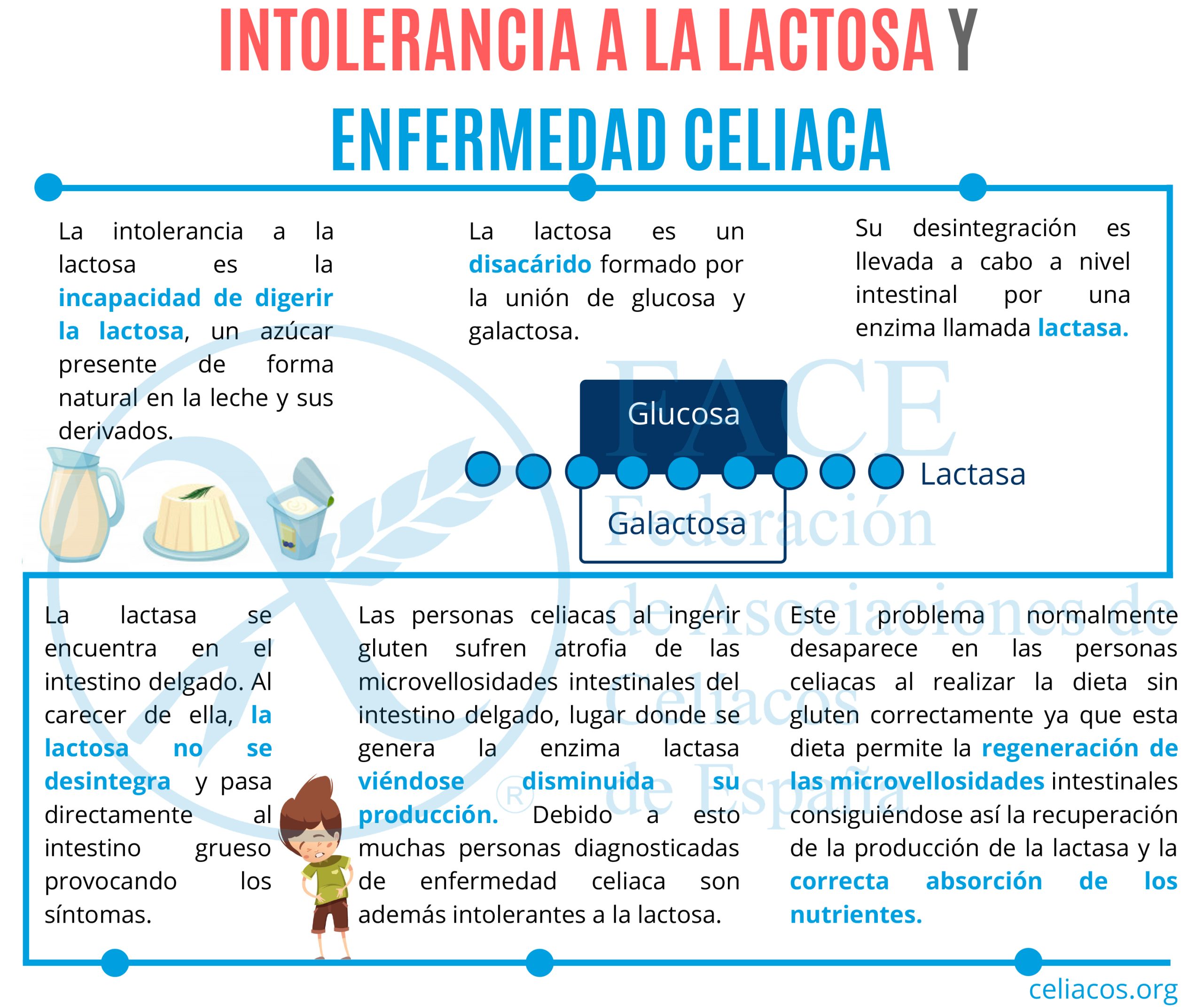 sin gluten
